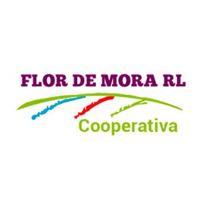  Flor De Mora